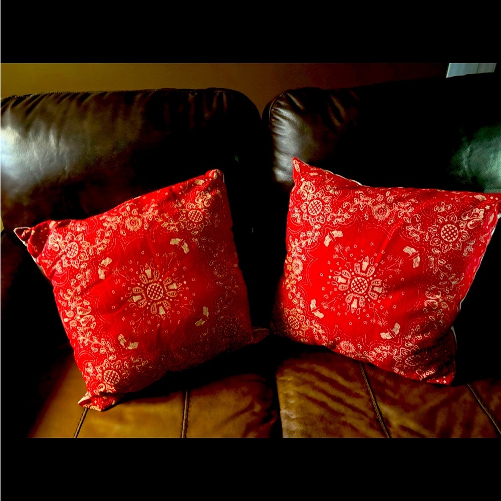 Two Decorative couch pillows listing includes two pillows
